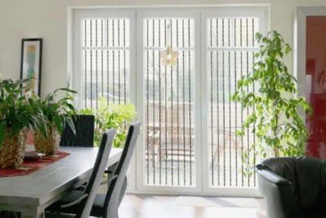 Vögel an Glasscheiben